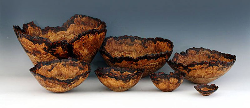 Newted Oak Burl Bowls